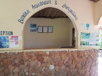 nungwi