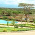 arusha