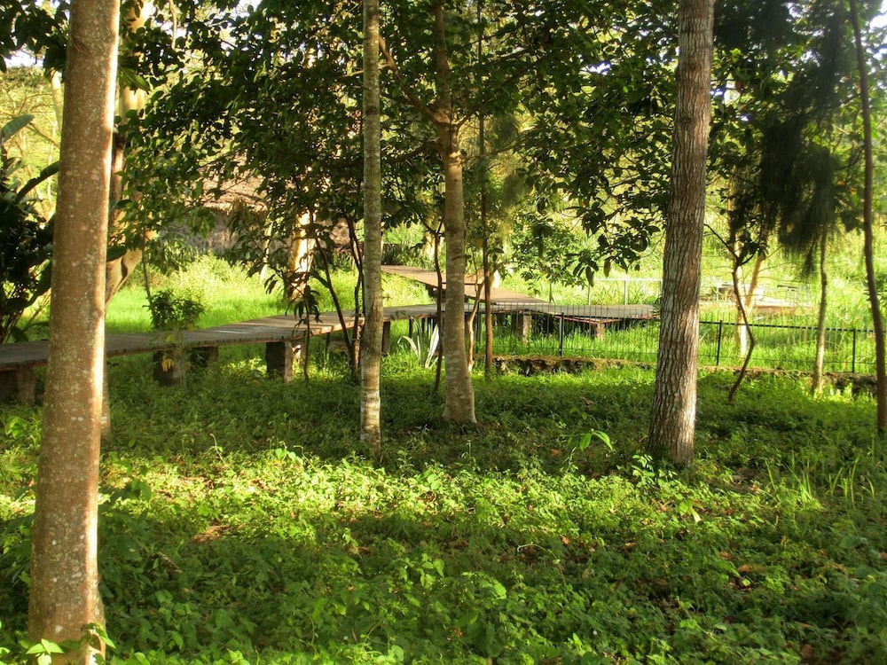 arusha