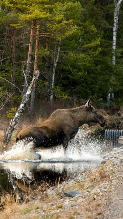 evika boutique hotel