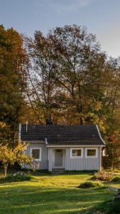 evika boutique hotel