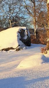 evika boutique hotel