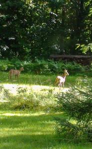 evika boutique hotel