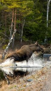 evika boutique hotel