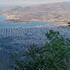 volos