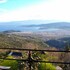 volos
