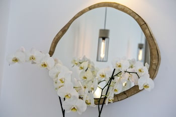 nida mykonos