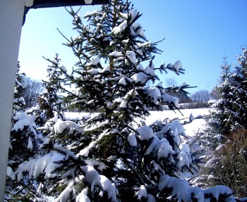 ferienhaus black and white