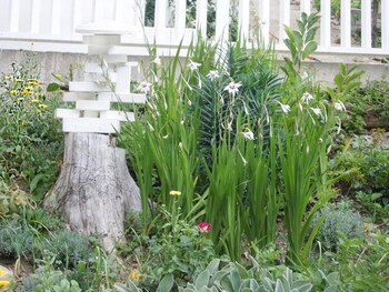 ferienhaus black and white