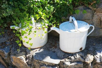 ferienhaus black and white