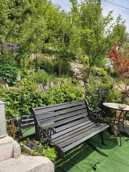 ferienhaus black and white