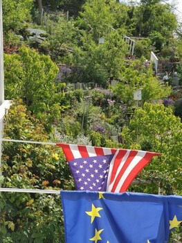 ferienhaus black and white