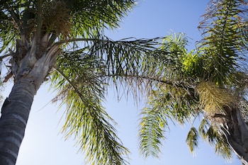 echuca moama holiday villas