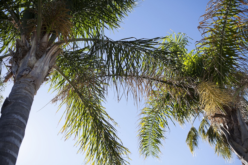 echuca moama holiday villas