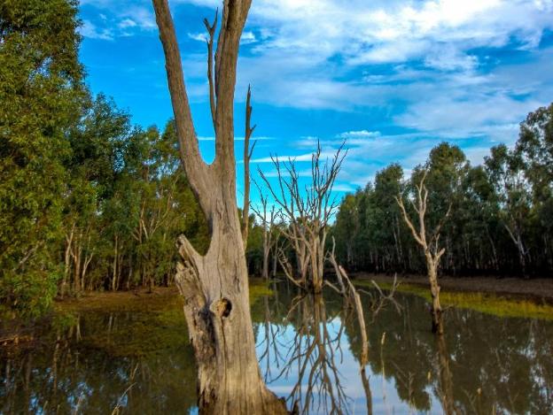 benson house and benson lodge