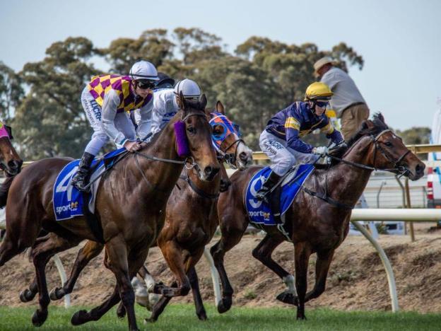 benson house and benson lodge