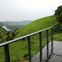 bald knob
