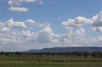Isis Motel Scone,Muswellbrook>>Hunter Valley,3 star