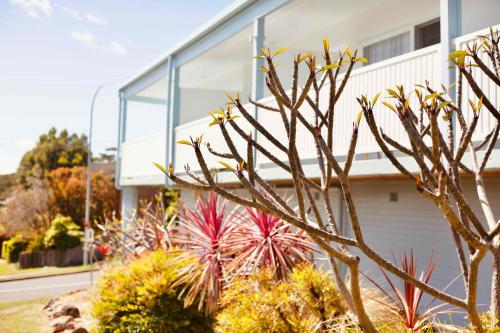 mollymook motel