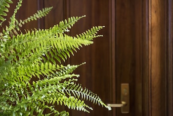 the parkview hotel mudgee