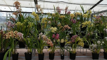 Ararat Southern Cross Motor Inn,Central Highlands>>Ararat,4 star