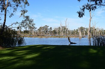 cohuna waterfront holiday park