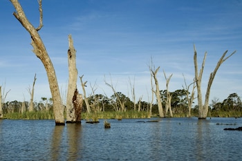 cohuna waterfront holiday park