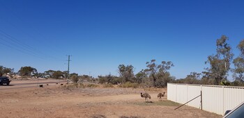 sonjas bed and breakfast