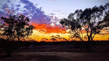 sonjas bed and breakfast