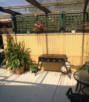 Coal Creek Motel,Gippsland>>Blackwood Forest,3 star