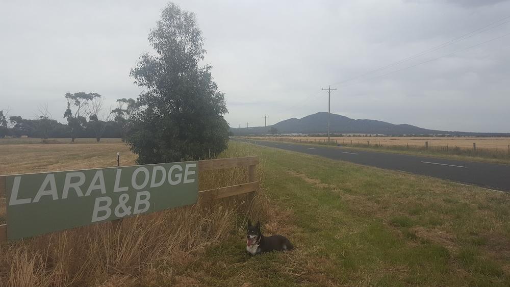 Lara Lodge,Geelong>>Avalon,4 star