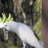 yha pittwater eco sydney