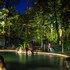 cape tribulation