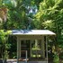 cape tribulation