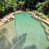 cape tribulation