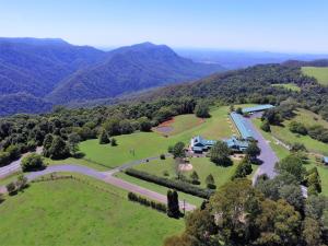 dorrigo mountain