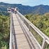 dorrigo mountain