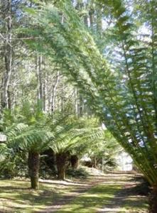 cradle alpine retreat