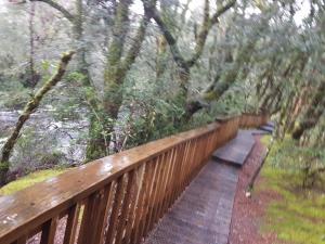 cradle alpine retreat