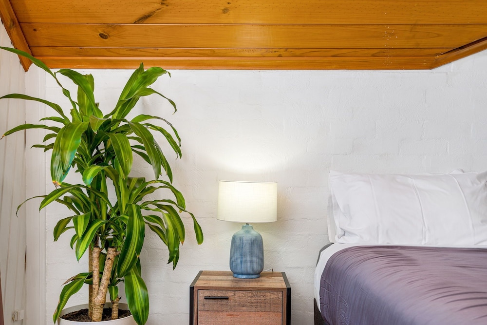 aquarius backpacker resort