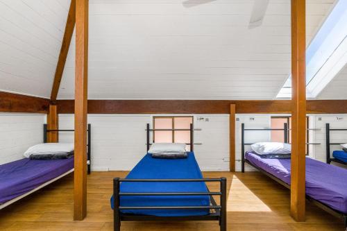 aquarius backpacker resort