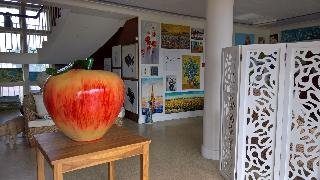 kernow charters towers