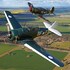 temora