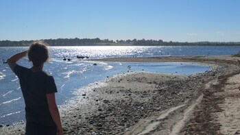 The Abbey Raymond Island,Forge Creek>>Bairnsdale,3 star