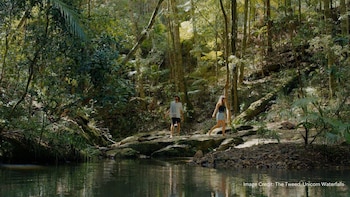 ecoasis wellness sanctuary