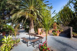 Modra's Apartments,Eyre Peninsula>>Charlton Gully,4 star