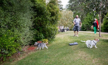 daylesford holiday park