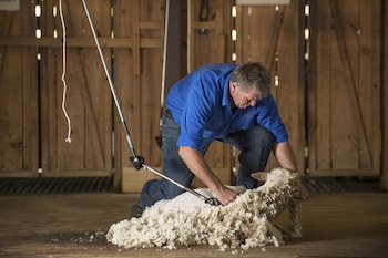 paradise country farmstay