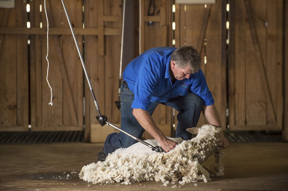 paradise country farmstay