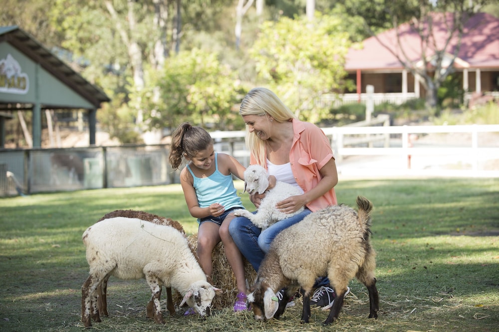 paradise country farmstay